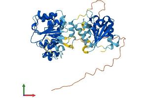 AlphaFold protein structure predicition of Mouse Recombinant Ddx25 Protein, UniprotID Q9QY15