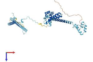 AlphaFold protein structure predicition of Human Recombinant CDC37 Protein, UniprotID Q16543