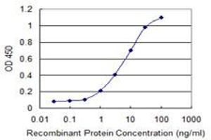 Detection limit for recombinant GST tagged RRN3 is 0.