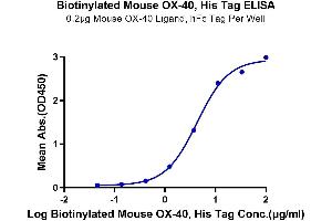 Immobilized Mouse OX40 Ligand, hFc Tag at 2 μg/mL (100 μL/Well) on the plate. (TNFRSF4 Protein (AA 20-211) (His-Avi Tag,Biotin))