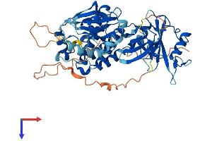 AlphaFold protein structure predicition of Mouse Recombinant Frk Protein, UniprotID Q922K9