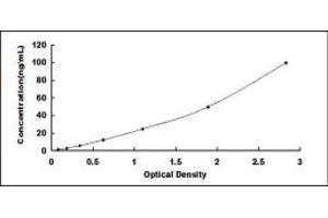 Typical standard curve (Phospholipase D2 Kit ELISA)