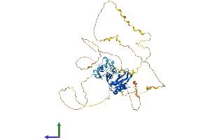 AlphaFold protein structure predicition of Mouse Recombinant Lcp2 Protein, UniprotID Q60787