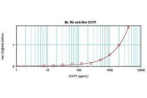 Image no. 2 for anti-Ciliary Neurotrophic Factor (CNTF) antibody (Biotin) (ABIN465710)