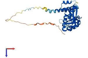 AlphaFold protein structure predicition of Mouse Recombinant Taco1 Protein, UniprotID Q8K0Z7