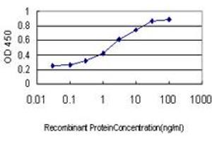 Detection limit for recombinant GST tagged FOXA2 is approximately 0. (FOXA2 anticorps  (AA 363-457))