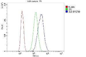 Flow Cytometry analysis of 293T cells using anti-Glutaminase/GLS antibody (ABIN7601603). (Glutaminase anticorps  (AA 396-654))