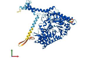 AlphaFold protein structure predicition of Mouse Recombinant Cpt1b Protein, UniprotID Q924X2
