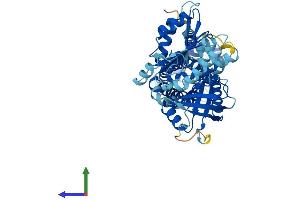 AlphaFold protein structure predicition of Mouse Recombinant Nox3 Protein, UniprotID Q672J9