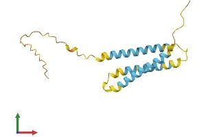 AlphaFold protein structure predicition of Mouse Recombinant Ninj1 Protein, UniprotID O70131