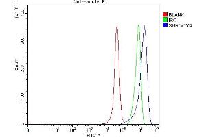 Flow Cytometry analysis of RT4 cells using anti-SHROOM4 antibody (ABIN7600980). (Shroom Family Member 4 (SHROOM4) (AA 262-928) anticorps)