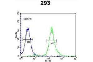 Flow cytometric analysis of 293 cells using Syntaxin 1A / STX1A Antibody (N-term) Cat. (STX1A anticorps  (N-Term))