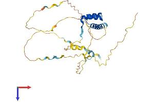 AlphaFold protein structure predicition of Human Recombinant PDX1 Protein, UniprotID P52945