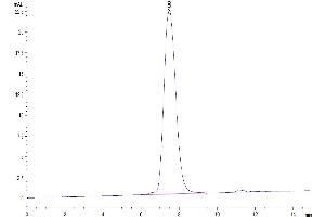 The purity of Human CD300A is greater than 95 % as determined by SEC-HPLC.