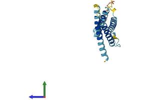 AlphaFold protein structure predicition of Human Recombinant CMTM8 Protein, UniprotID Q8IZV2