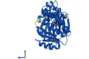 AlphaFold protein structure predicition of Human Recombinant GALK1 Protein, UniprotID P51570