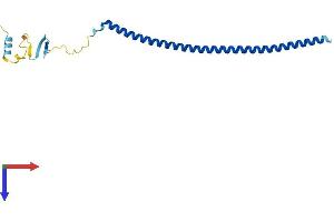 AlphaFold protein structure predicition of Mouse Recombinant Stmn3 Protein, UniprotID O70166