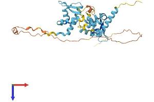 AlphaFold protein structure predicition of Mouse Recombinant Ndn Protein, UniprotID P25233