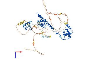 AlphaFold protein structure predicition of Human Recombinant RCOR3 Protein, UniprotID Q9P2K3