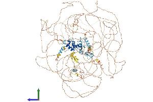 AlphaFold protein structure predicition of Human Recombinant ASXL1 Protein, UniprotID Q8IXJ9