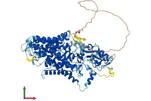 AlphaFold protein structure predicition of Mouse Recombinant Clcn7 Protein, UniprotID O70496