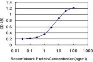 Detection limit for recombinant GST tagged SLC19A2 is approximately 0.