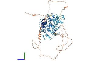 AlphaFold protein structure predicition of Human Recombinant ZNF81 Protein, UniprotID P51508