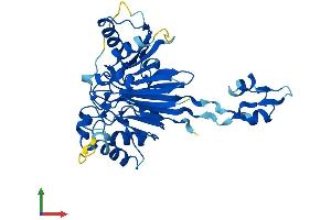 AlphaFold protein structure predicition of Human Recombinant ELAC1 Protein, UniprotID Q9H777