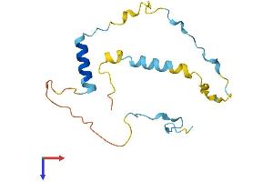 AlphaFold protein structure predicition of Mouse Recombinant Szrd1 Protein, UniprotID Q6NXN1