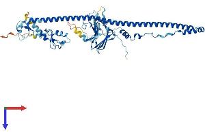 AlphaFold protein structure predicition of Mouse Recombinant Trim35 Protein, UniprotID Q8C006