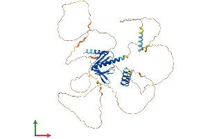 AlphaFold protein structure predicition of Human Recombinant DCP1A Protein, UniprotID Q9NPI6