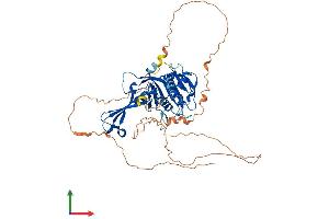 AlphaFold protein structure predicition of Human Recombinant USP17L2 Protein, UniprotID Q6R6M4
