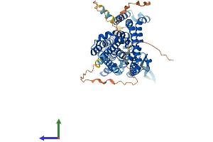 AlphaFold protein structure predicition of Human Recombinant SLC1A5 Protein, UniprotID Q15758