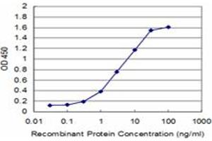 Detection limit for recombinant GST tagged RUNX2 is approximately 0. (RUNX2 anticorps  (AA 251-350))