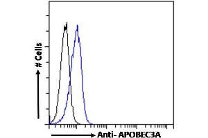 ABIN238645 Flow cytometric analysis of paraformaldehyde fixed Jurkat cells (blue line), permeabilized with 0. (APOBEC3A anticorps  (Internal Region))