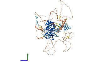 AlphaFold protein structure predicition of Human Recombinant LPIN3 Protein, UniprotID Q9BQK8