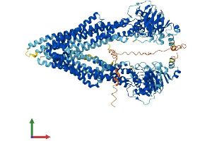 AlphaFold protein structure predicition of Mouse Recombinant Abcb1a Protein, UniprotID P21447