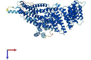 AlphaFold protein structure predicition of Human Recombinant NAA25 Protein, UniprotID Q14CX7