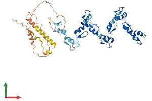 AlphaFold protein structure predicition of Human Recombinant ZNF154 Protein, UniprotID Q13106