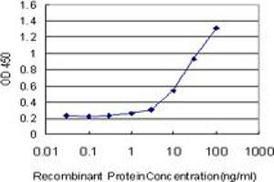 Detection limit for recombinant GST tagged ANGPTL6 is approximately 1ng/ml as a capture antibody. (ANGPTL6 anticorps  (AA 211-299))