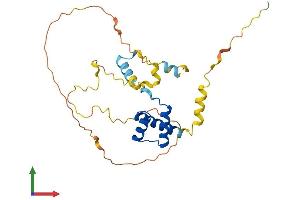 AlphaFold protein structure predicition of Mouse Recombinant Gsc Protein, UniprotID Q02591
