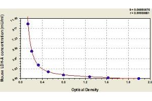 Typical Standard Curve (Lactate Dehydrogenase A Kit ELISA)