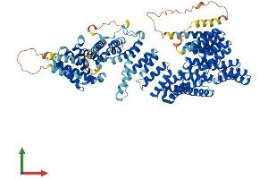 AlphaFold protein structure predicition of Human Recombinant TTC7A Protein, UniprotID Q9ULT0