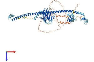 AlphaFold protein structure predicition of Human Recombinant TRIM41 Protein, UniprotID Q8WV44