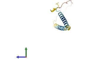 AlphaFold protein structure predicition of Mouse Recombinant Tceal9 Protein, UniprotID Q9DD24