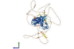 AlphaFold protein structure predicition of Mouse Recombinant Frmd7 Protein, UniprotID A2AD83