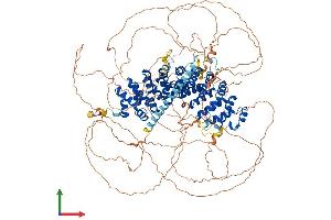AlphaFold protein structure predicition of Human Recombinant PKP4 Protein, UniprotID Q99569