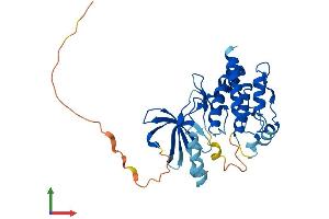 AlphaFold protein structure predicition of Human Recombinant NEK6 Protein, UniprotID Q9HC98