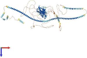 AlphaFold protein structure predicition of Human Recombinant PPFIBP1 Protein, UniprotID Q86W92