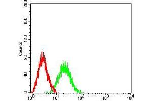 Flow cytometric analysis of Jurkat cells using BCL11B mouse mAb (green) and negative control (red).